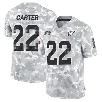 ＃22 Youth Michael Carter Arctic Camo Limited Arizona Cardinals 2024 Salute to Service Jersey